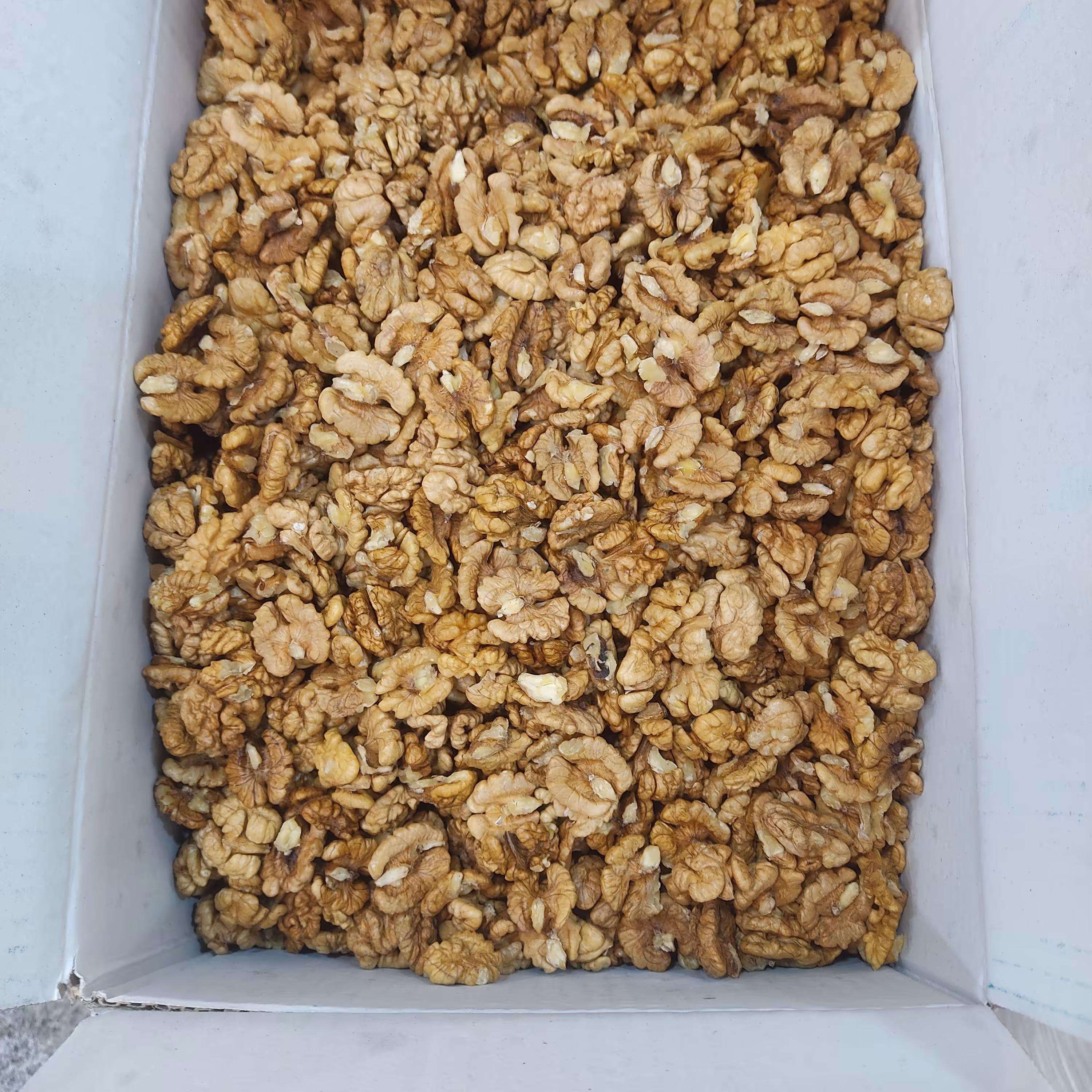 مغز گردوی ایرانی(آذرشهر)