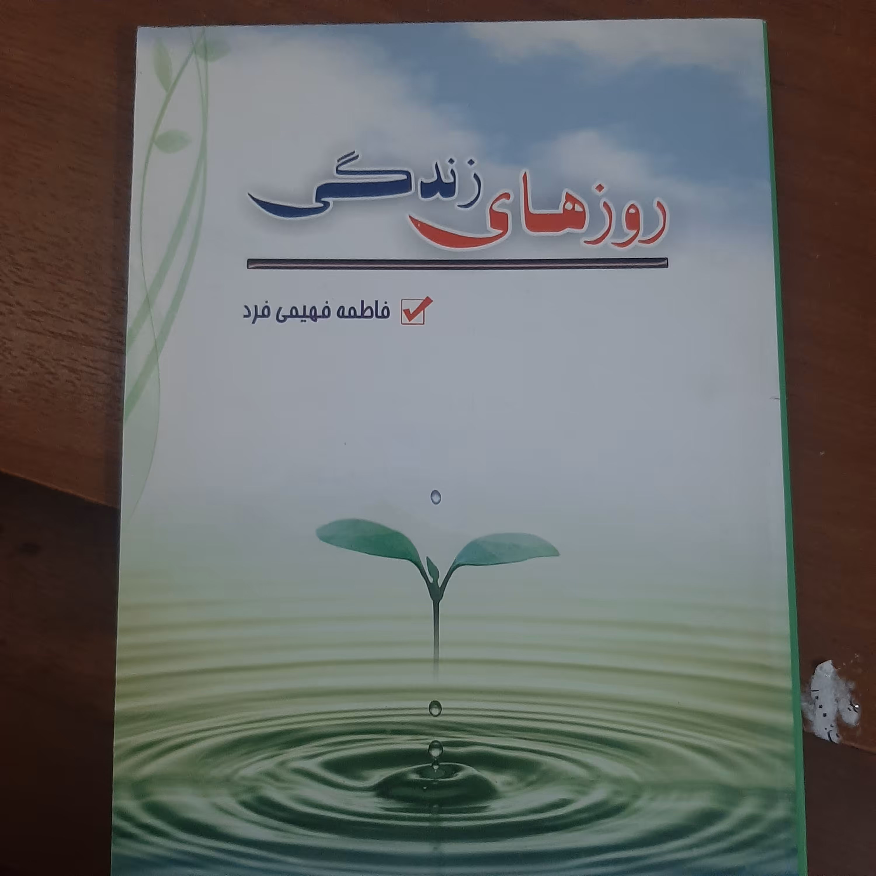 روزهای زندگی اثرفاطمه فهیمی فرد