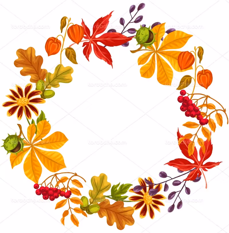 وکتور برگ های پاییز | گرافیک با طعم تربچه