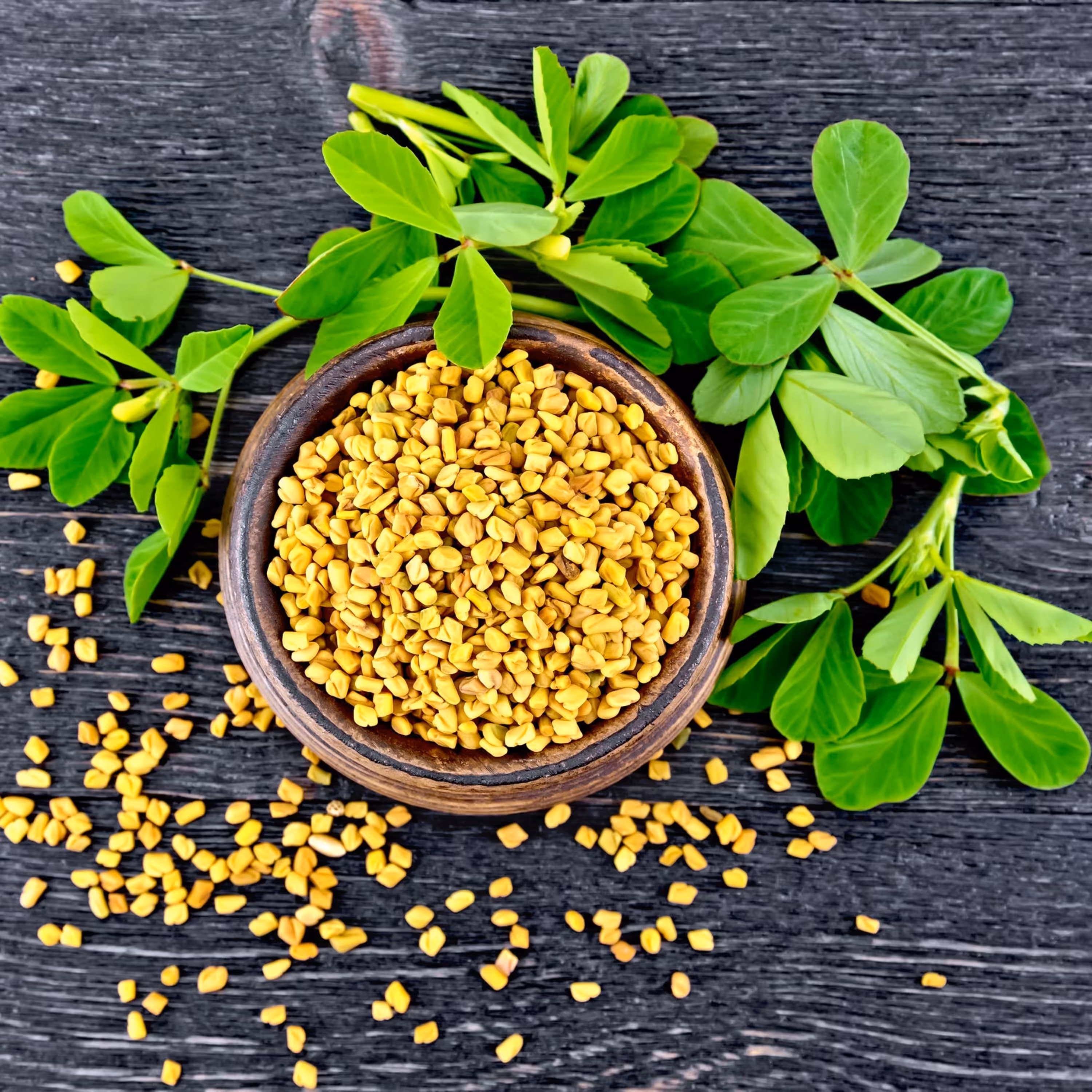 بذر شنبلیله 20 گرمی