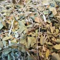 آویشن شیرازی یا آویشن پهن شبرازی اعلاء 100 گرمی عطاری دستانی 