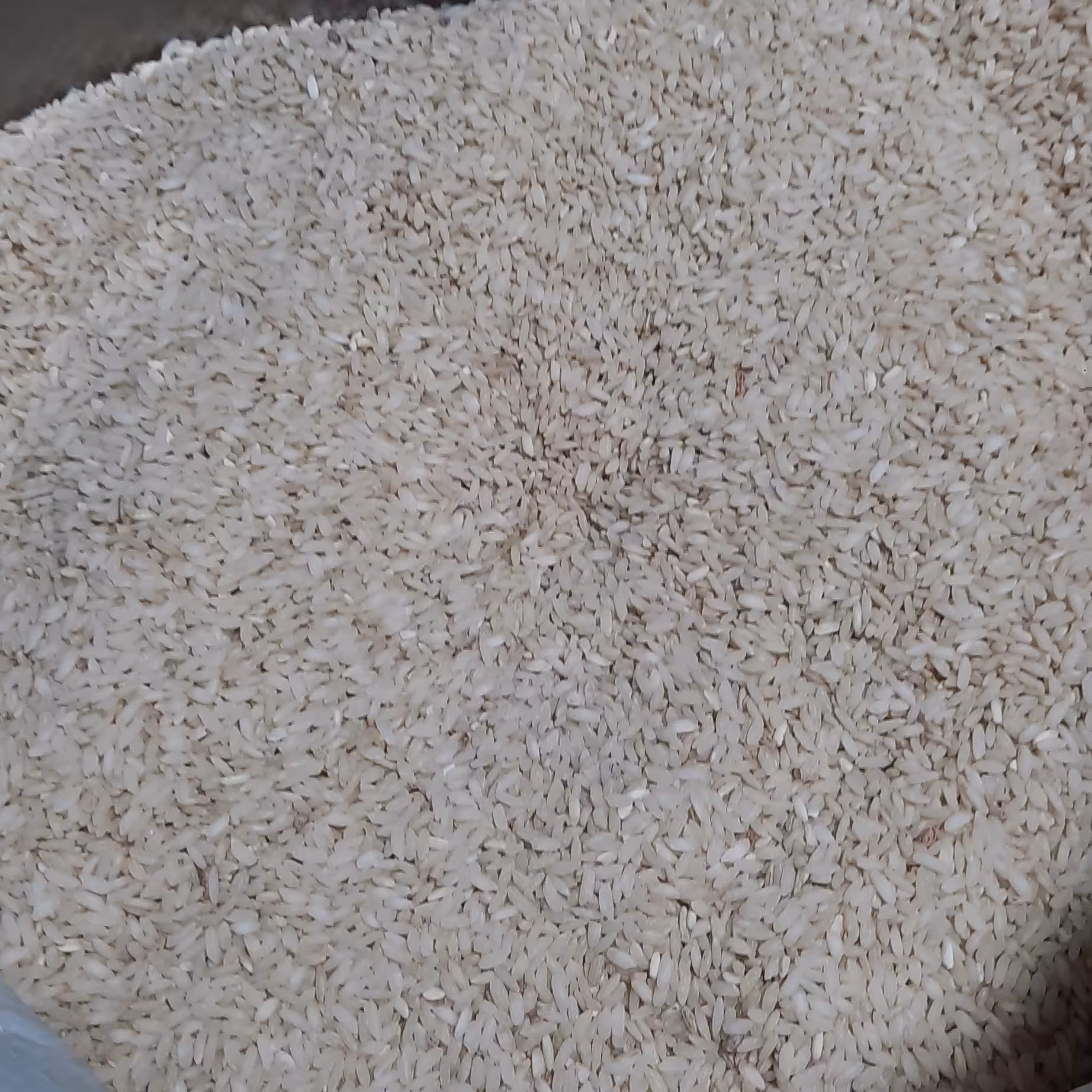 برنج کامفیروز شیراز اعلاء(گونی 10 کیلویی)