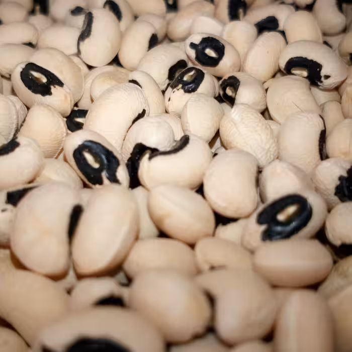 لوبیا چشم بلبلی درجه یک تولید بذر نوید بسته یک کیلویی