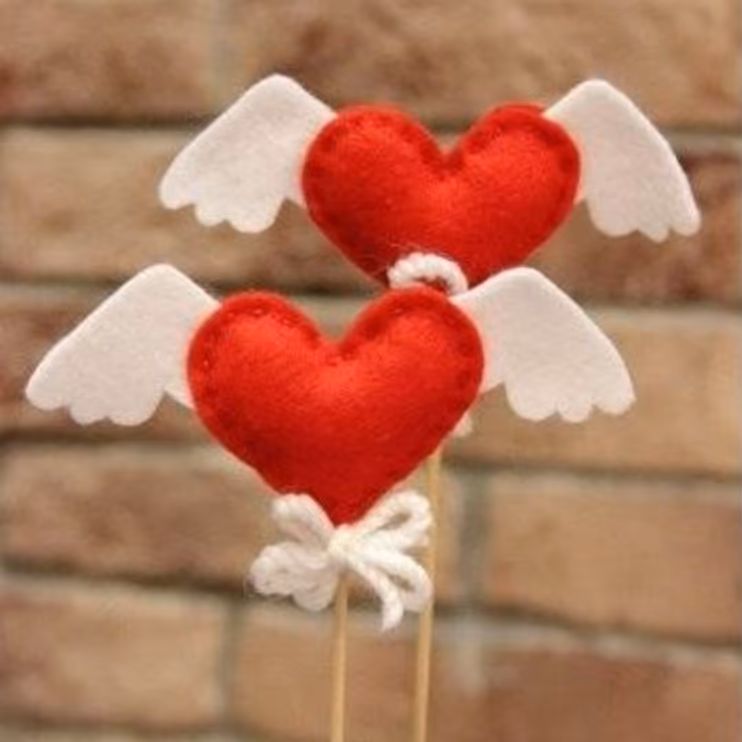 گیفت قلب پرنده