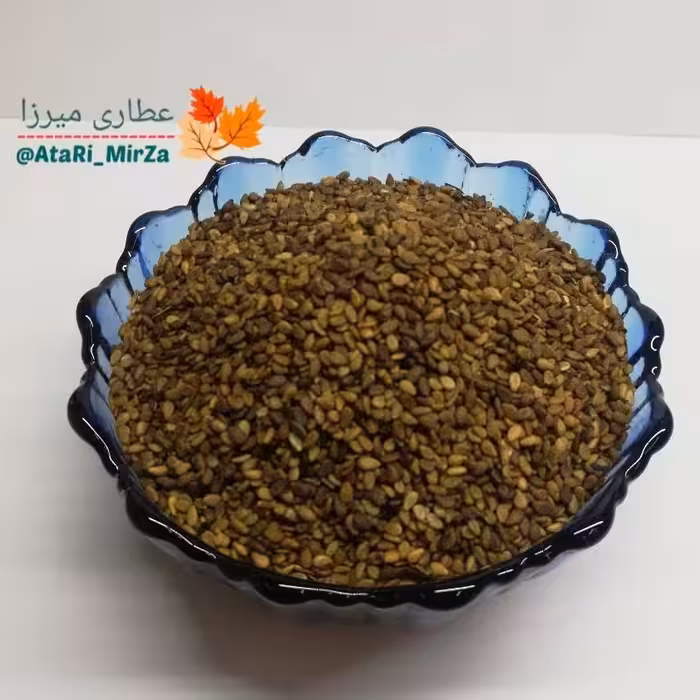 کنجد باپوست قهوه ای ممتاز میرزا (100 گرم) 