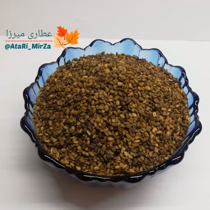 کنجد باپوست قهوه ای ممتاز میرزا (100 گرم) 