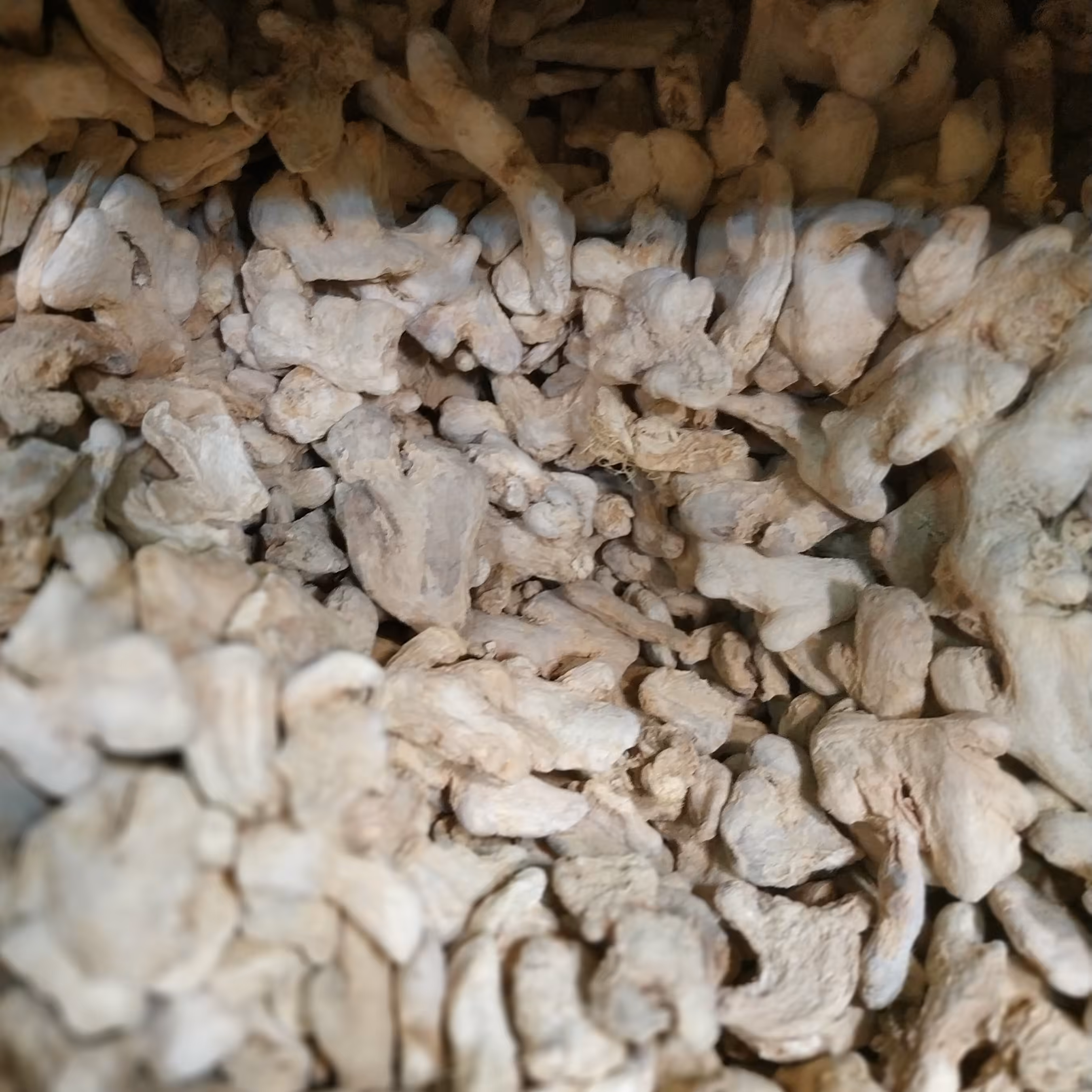 زنجبیل ناساب چینی