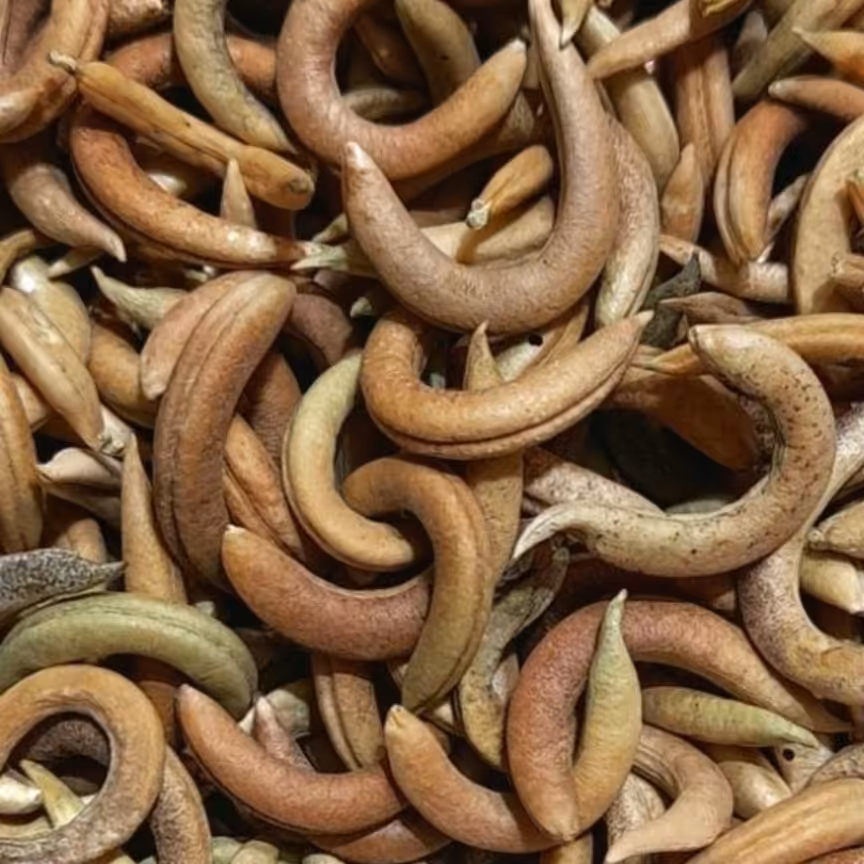 ناخنک ریز 100 گرمی عطاری دستانی 