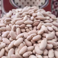 لوبیا کشاورزی  1 کیلویی