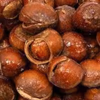 فندق با پوست نمکی 1000گرم (محصول ایرانی قزوین)