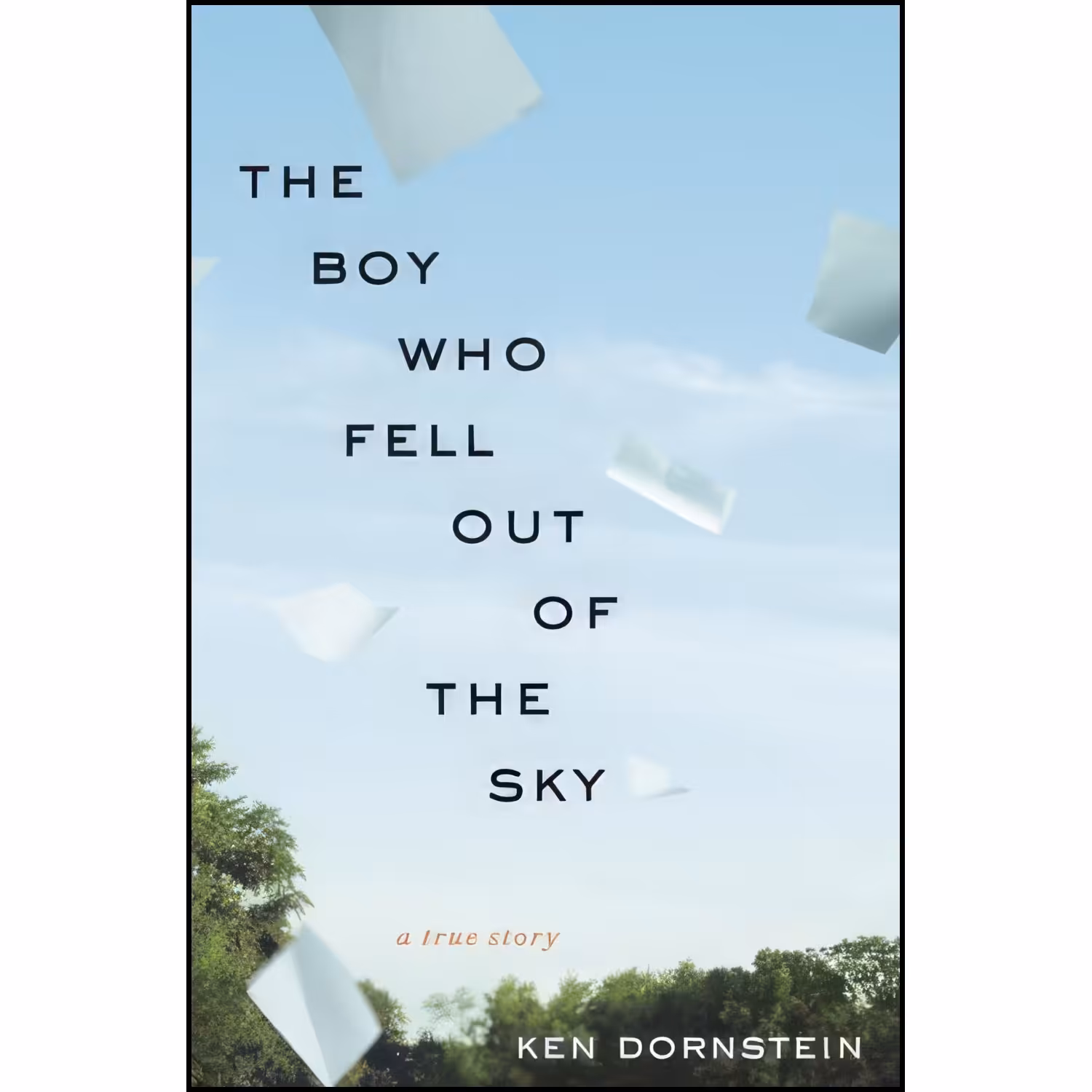 کتاب زبان اصلی The Boy Who Fell Out of the Sky اثر Ken Dornstein