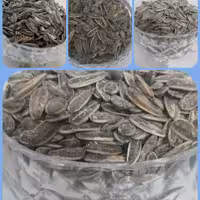 تخمه آفتابگردان نمکین