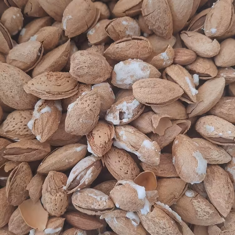 بادام منقا شور ( دو کیلو)