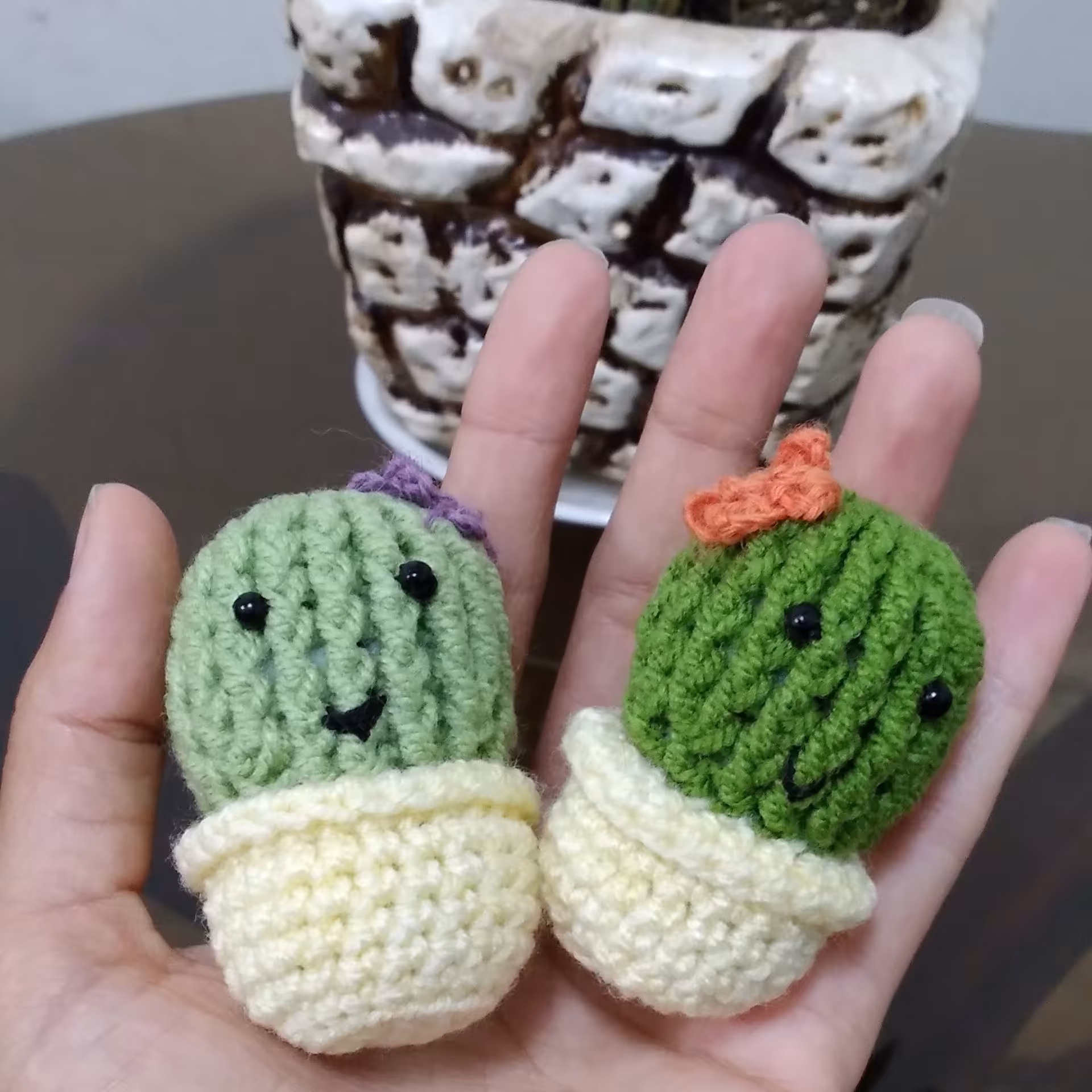 کاکتوس کوچولو