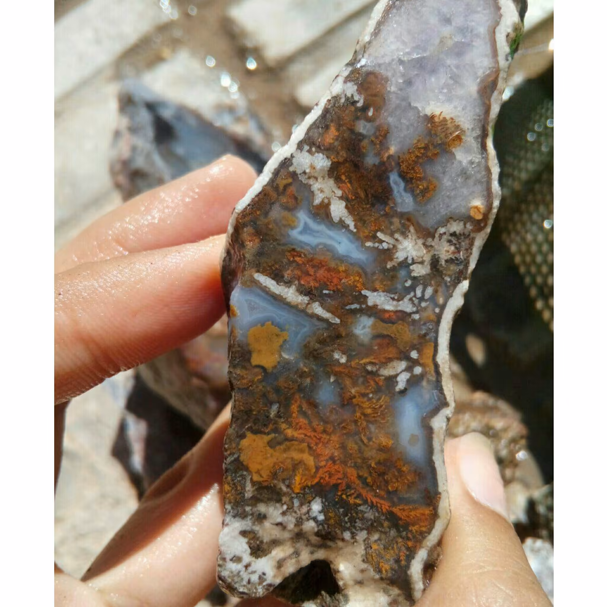 راف بسیار خاص شجر رنگی مختص تراش نگین های بسیار زیبا و کلکسیون