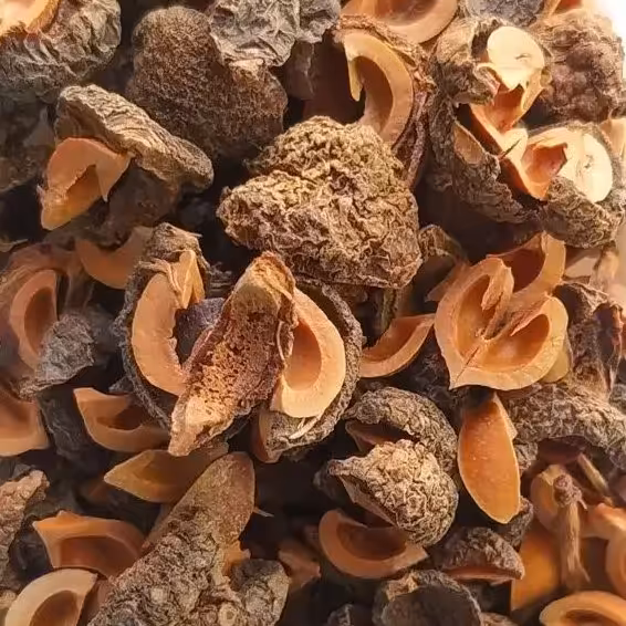 گیاه آمله یک سیر