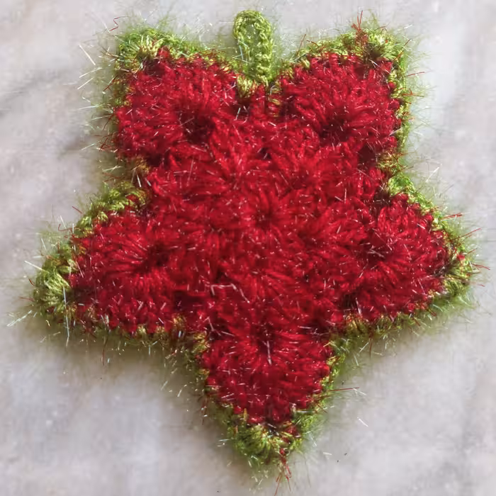 اسکاج دورویه ستاره ای در رنگهای مختلف وبا کاموایی معمولی دستگیر 