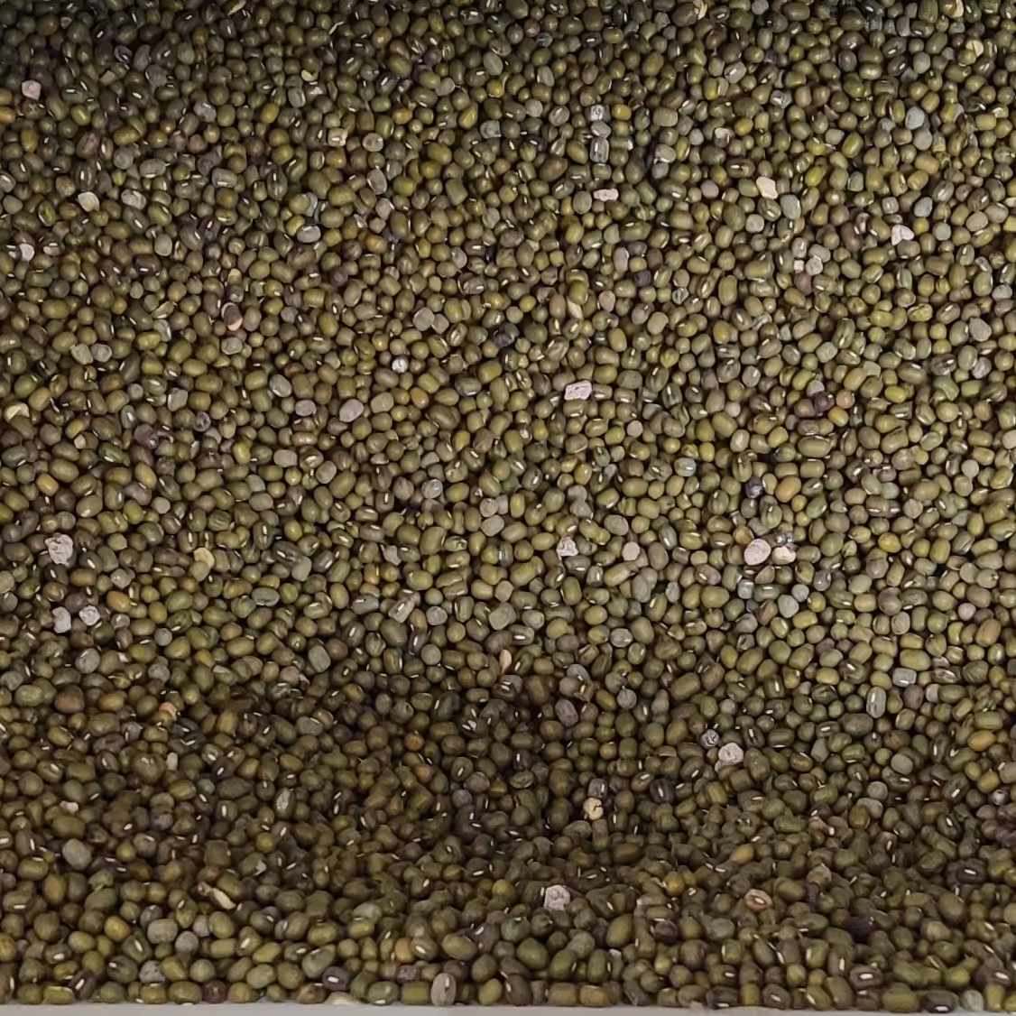 ماش (نیم کیلو)