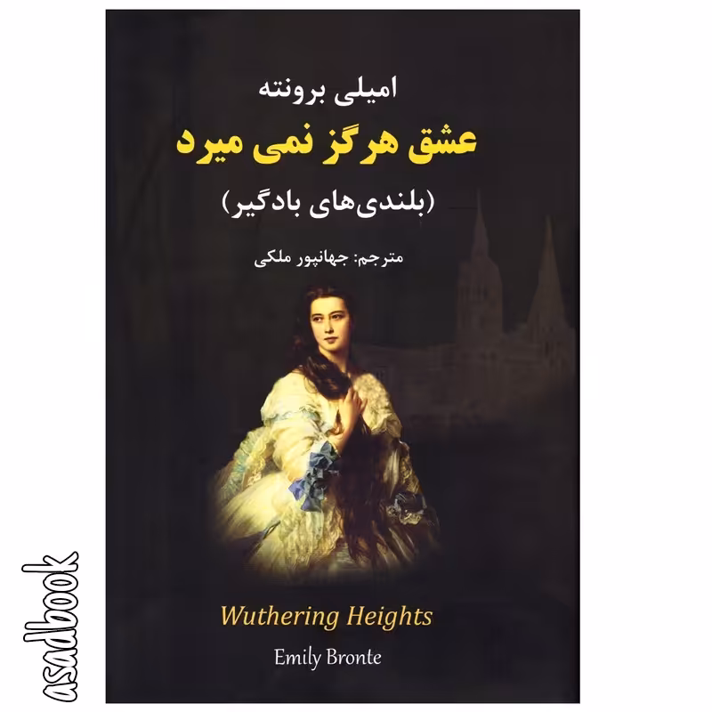 کتاب عشق هرگز نمی میرد اثر امیلی برونته