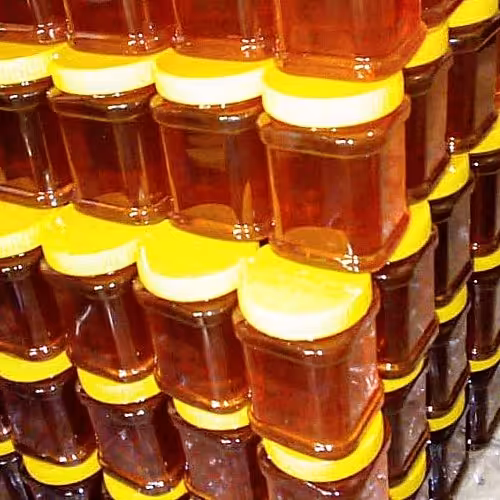 عسل طبیعی مشگین مستقیم و بی واسطه از زنبوردار بخرید