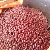 لوبیای قرمز تازه و درجه یک زود پخت (یک کیلو گرم)