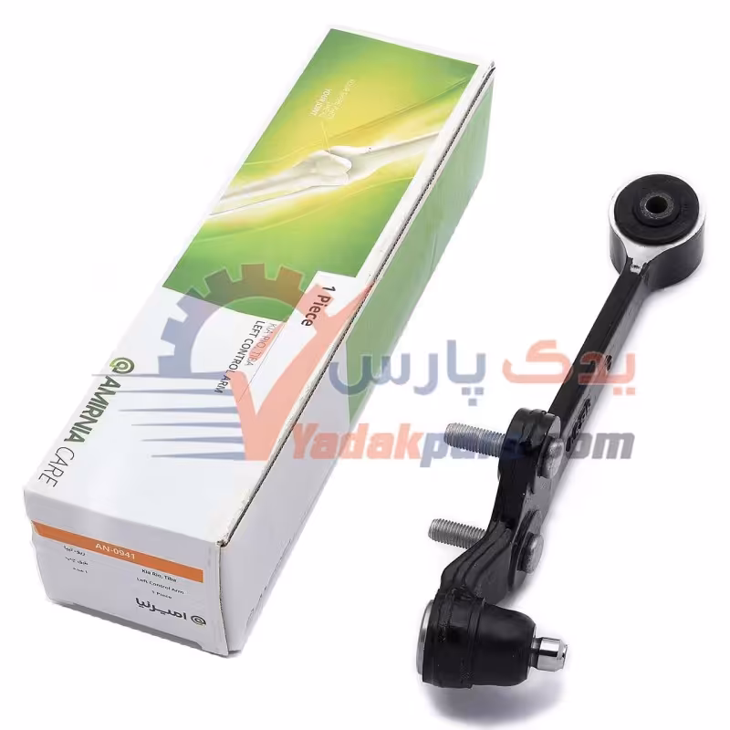 طبق سمت چپ تیبا کوئیک ساینا و ریو امیرنیا