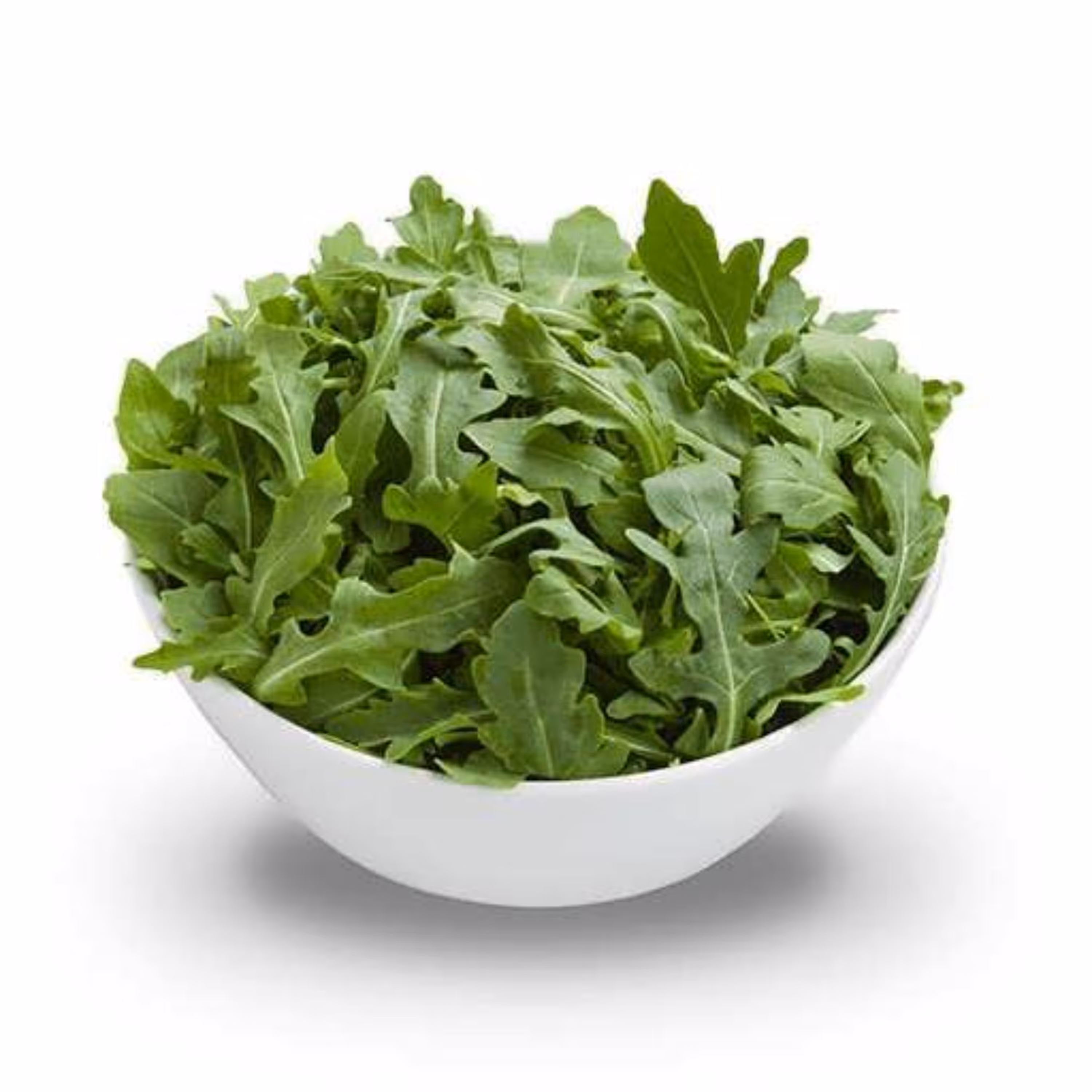 بذر آرگولا دراگون 0.5 گرمی