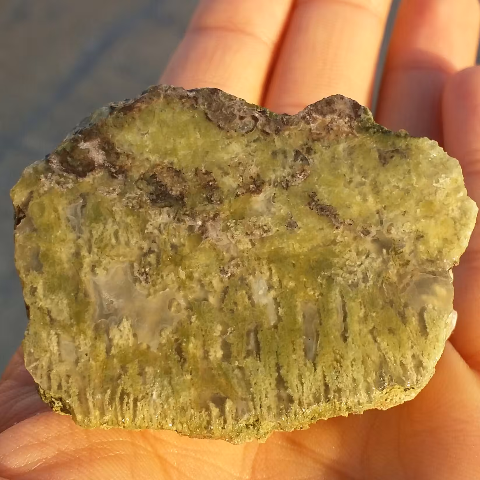 اسلایس سنگ راف عقیق شجر منظره سبز خزه ای بسیار دیدنی شاهکار خلقت کاملا طبیعی
با قابلیت ساخت چند نگین محشر
 کد 8006