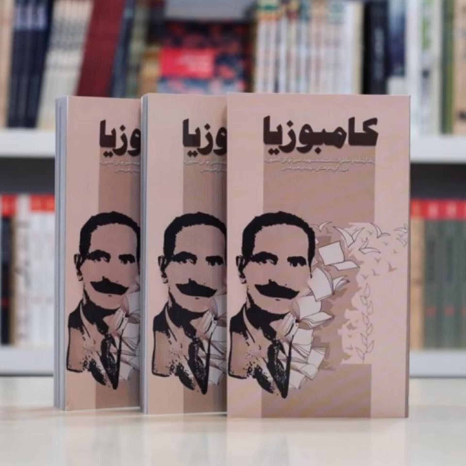 کتاب کامبوزیا (از انتشارات ابراهیم هادی)