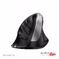 قیمت و خرید ماوس جنیوس ارگونومیک Genius Ergo 8250s - شبکه ساز