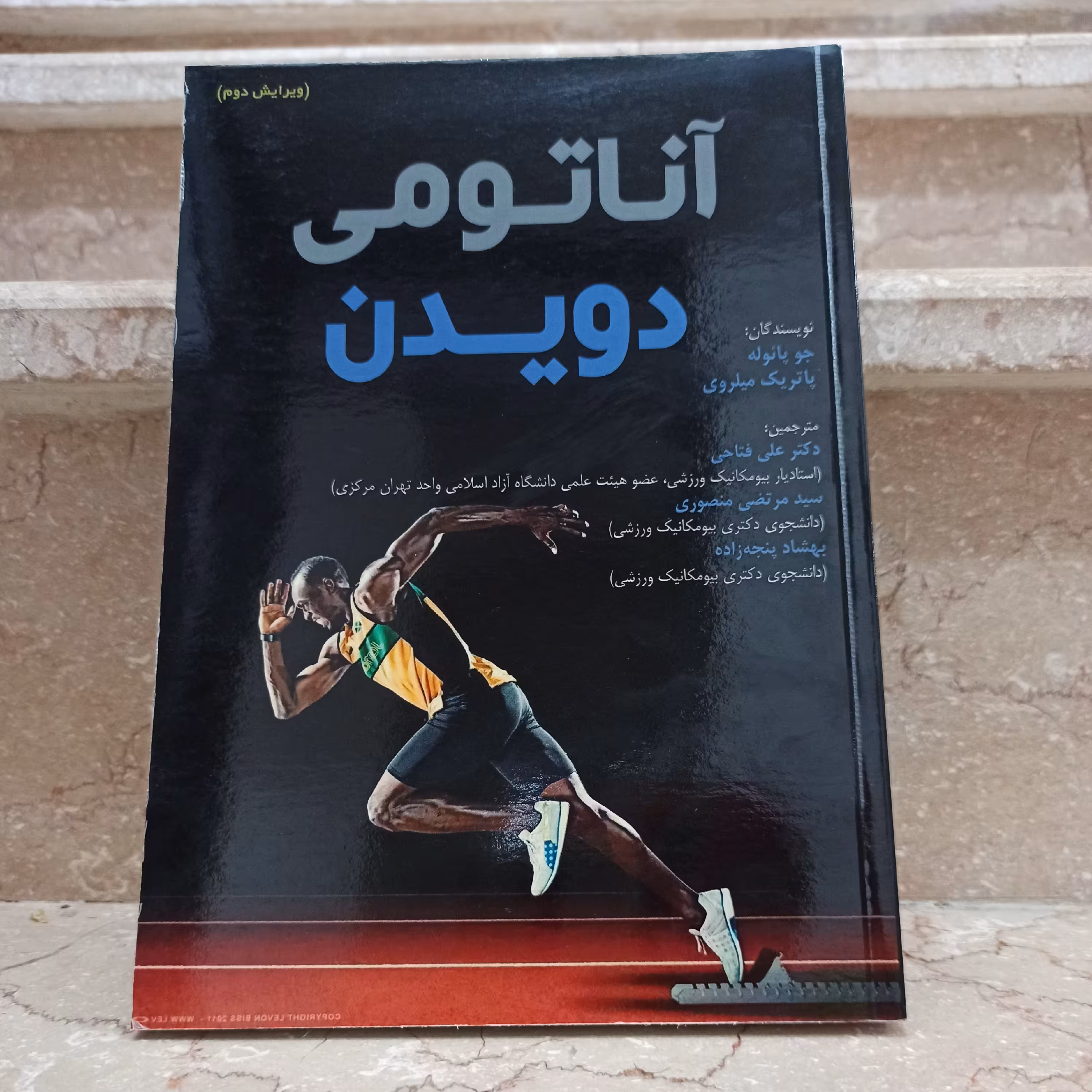 آناتومی دویدن