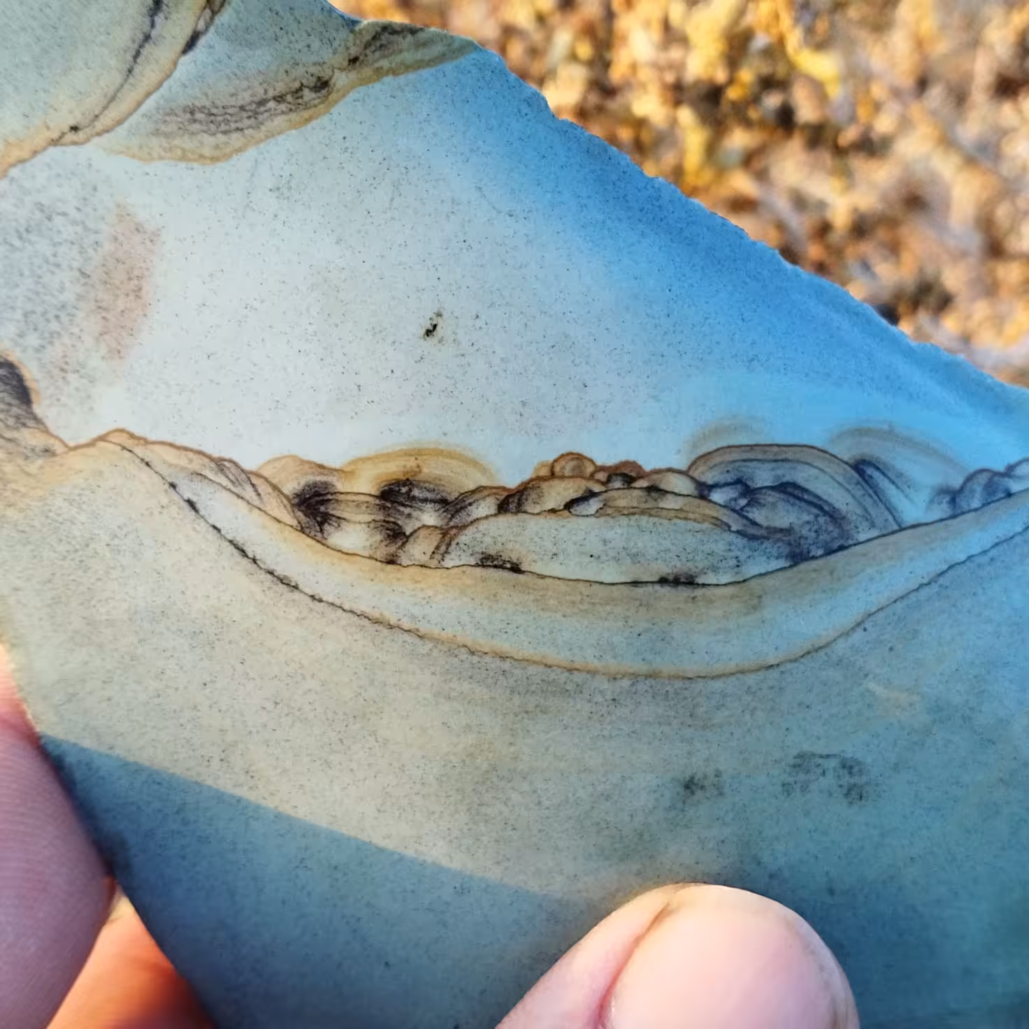 جاسپر منظره