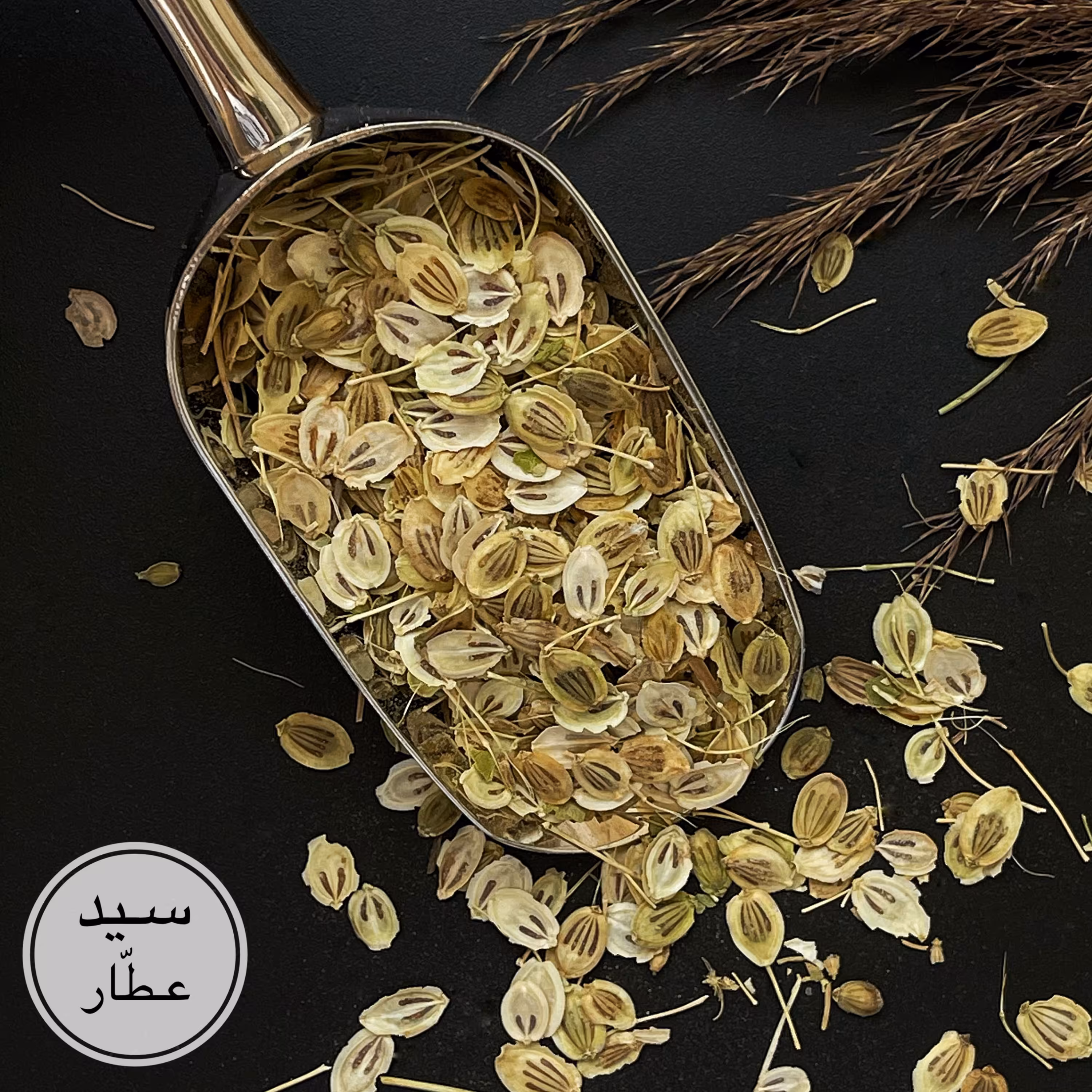 گلپر (400گرمی)