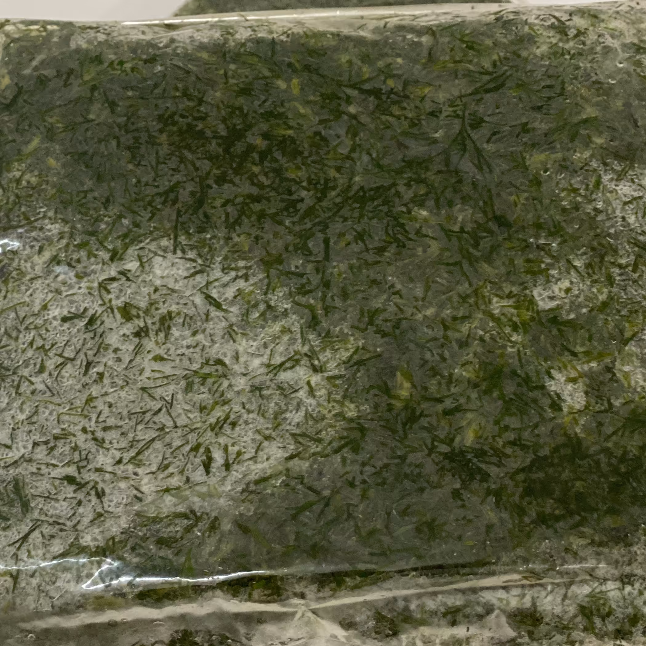 شوید خورد شده خونگی