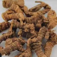 موقلنجان  (خولنجان) ممتاز فدک (50گرم)