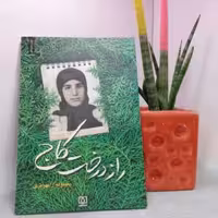 کتاب راز درخت کاج (خاطرات مادر شهید زینب کمایی

)