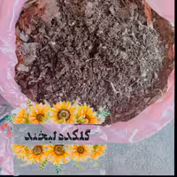 خاک برگ جنگلی( 3000)گرم