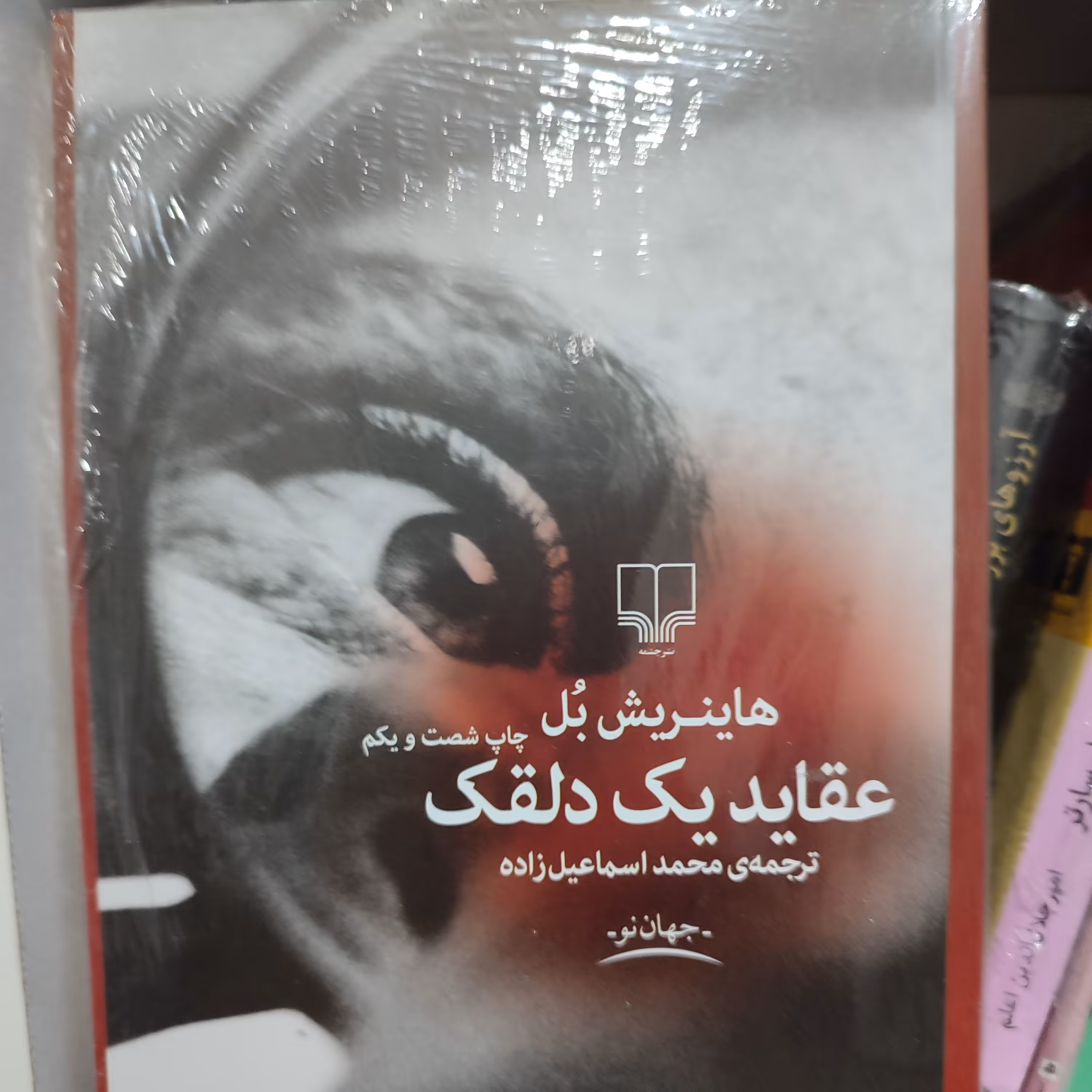 رمان عقاید یک دلقک ترجمه محمد اسماعیل زاده نشر چشمه