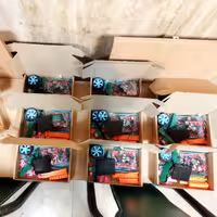 پک دوره رباتیک پیشرفته آنلاین برای جوانان 18 تا 25 سال 