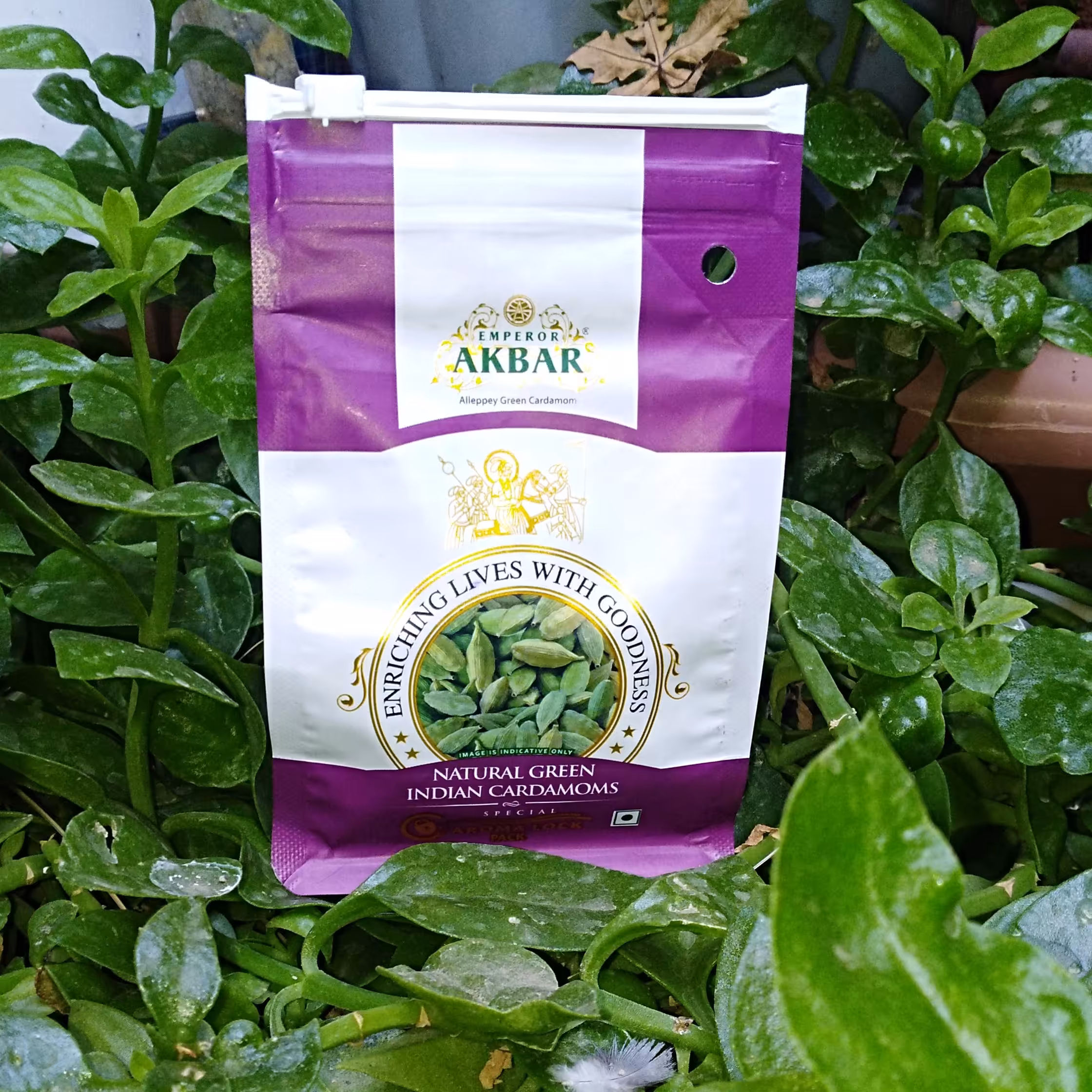 هل اکبر بنفش در بسته بندی 100 گرمی