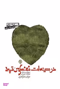 کتاب در سینه ات نهنگی می تپد اثر عرفان نظرآهاری انتشارات صابرین