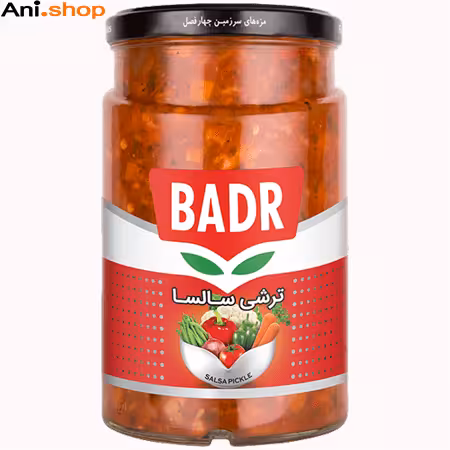 ترشی سالسا بدر مقدار 640 گرم کد N13