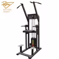 دستگاه پارالل بارفیکس کمکی پارامونت سری COMPACT