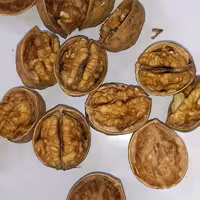 گردو بلغاری درجه1