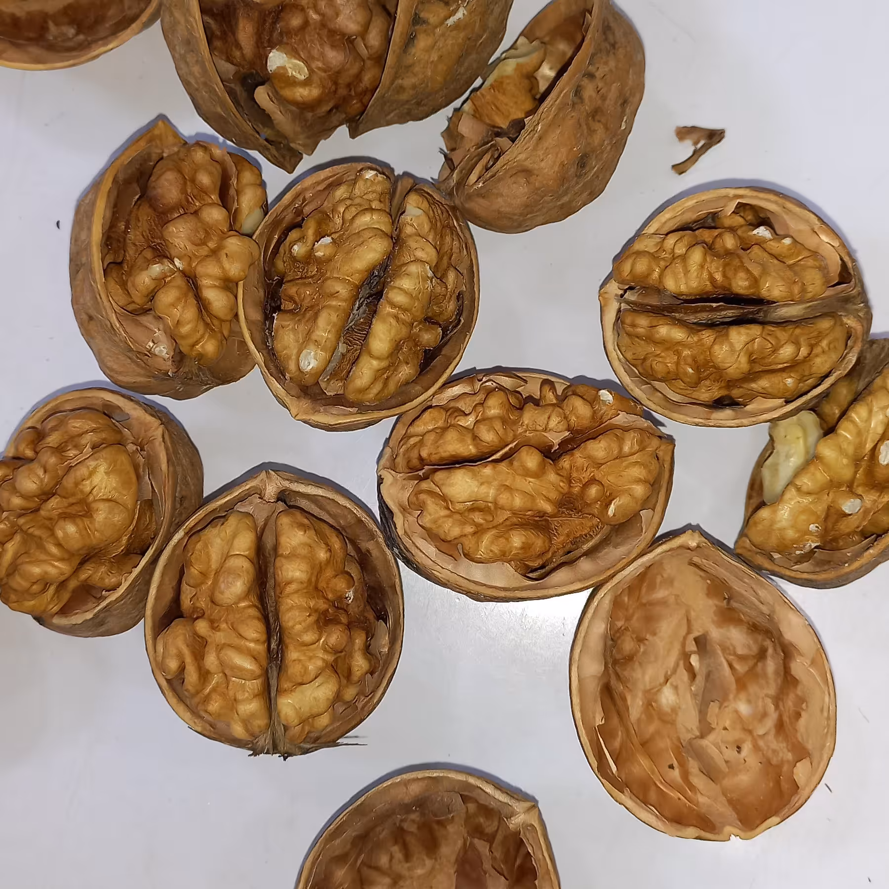 گردو بلغاری درجه1