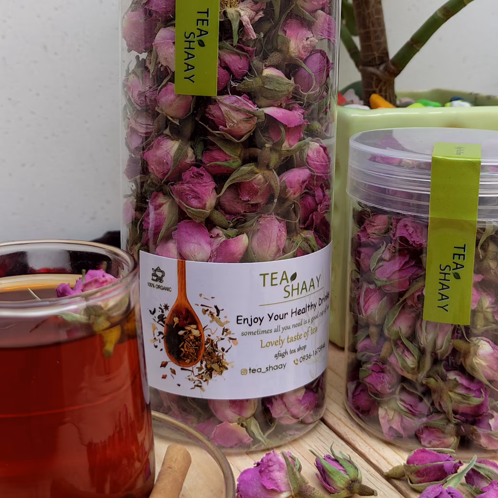 گل غنچه محمدی لاله زار عطر عالی درشت و امسالی 