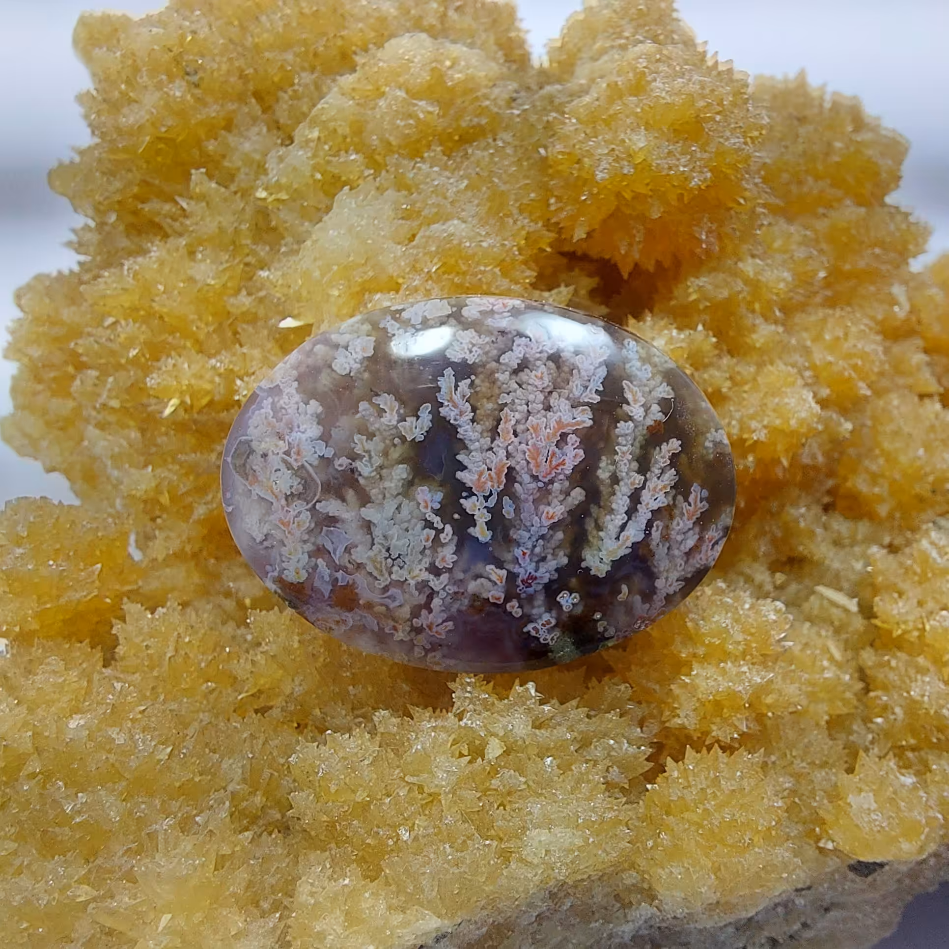 عقیق شجر شکوفه با رنگبندی بسیار زیبا و تراش و پولیش عالی