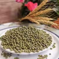 ماش اعلا (2 کیلوگرمی) ارسال رایگان)