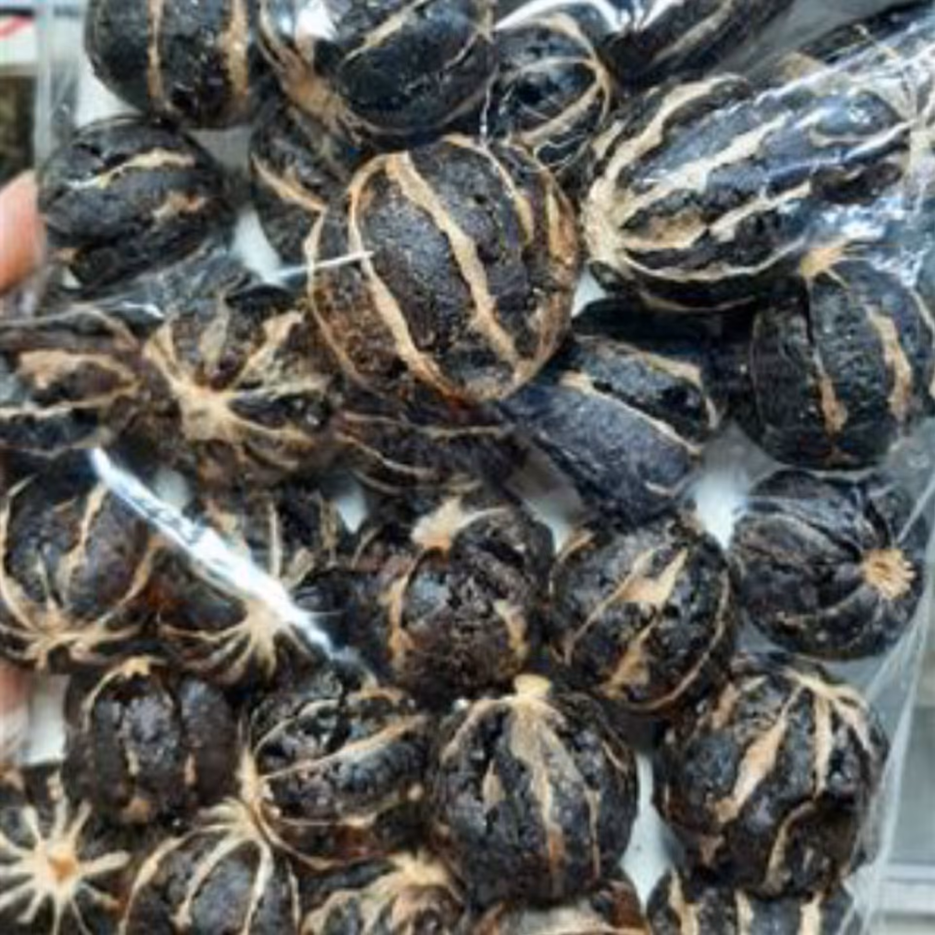 لیمو عمانی بدون پوست( 250گرم)