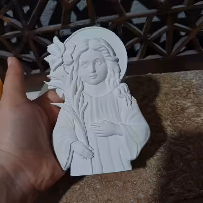 بیس خام حنا دختری در مزرعه ارتفاع 15 سانت (قیمت تعداد دونه ای 30)